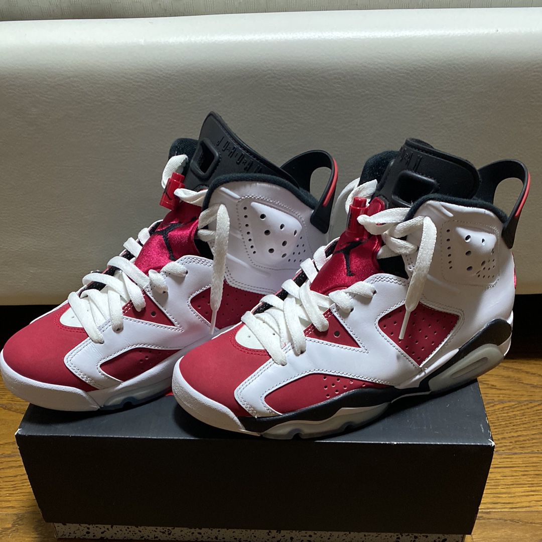 Nike Air Jordan 6 "Carmine" (2021)