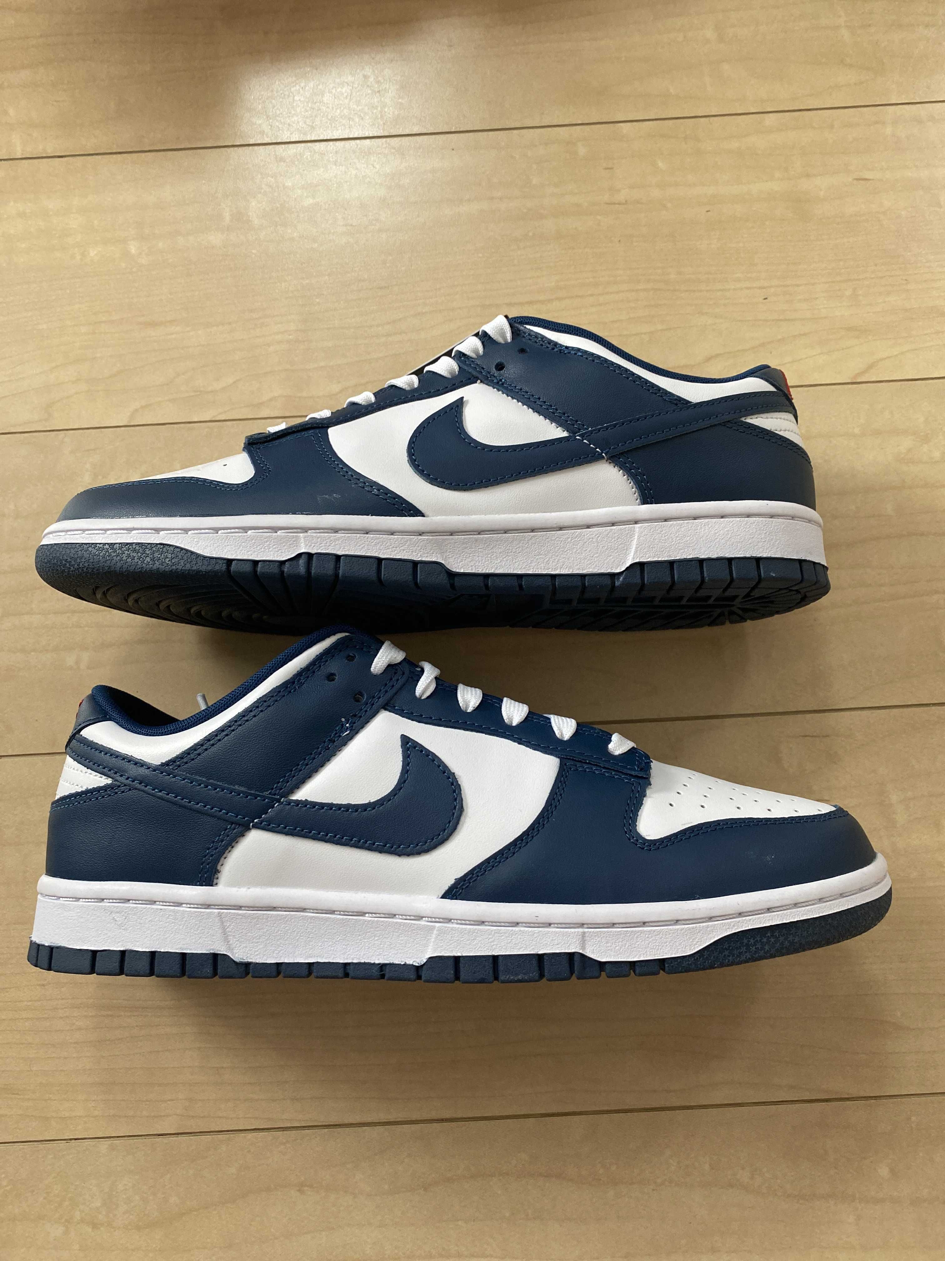 Nike Dunk Low "Valerian Blue"