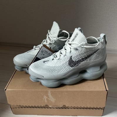 Nike Air Max Scorpion "Cloudy Grey"