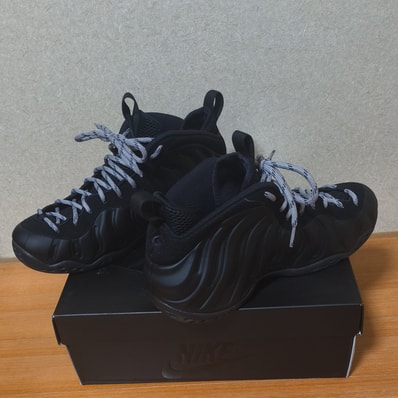 Nike Air Foamposite One "Black"