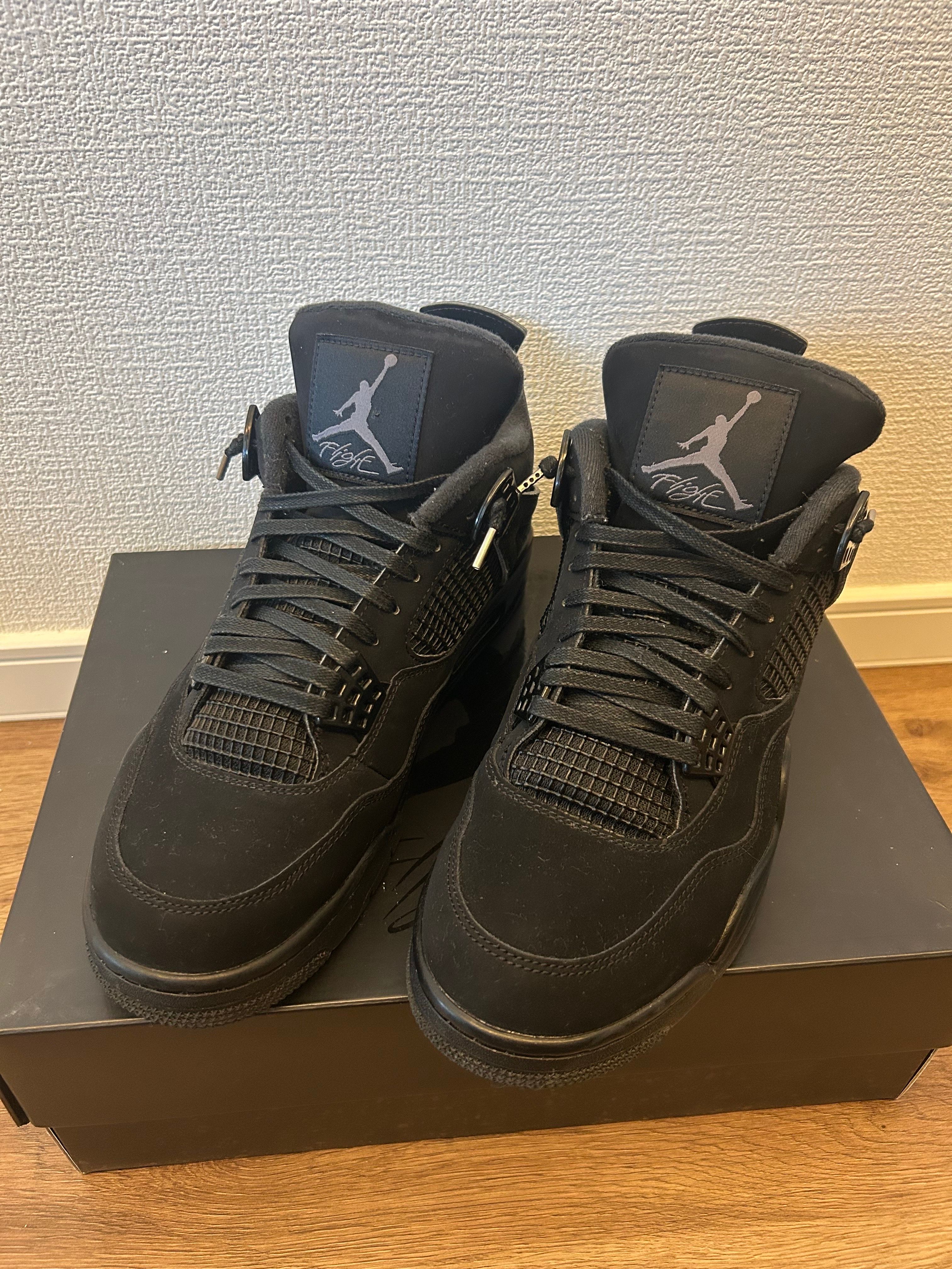 Nike Air Jordan 4 "Black Cat"