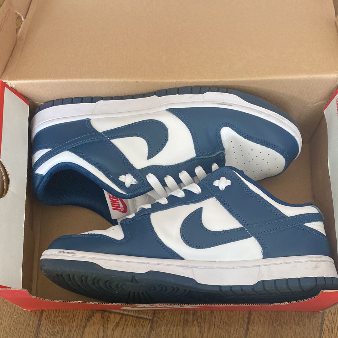 Nike Dunk Low "Valerian Blue"