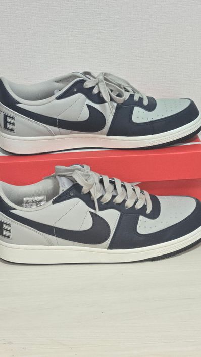 Nike Terminator Low "Dark Obsidian and Granite/Georgetown"(2023)