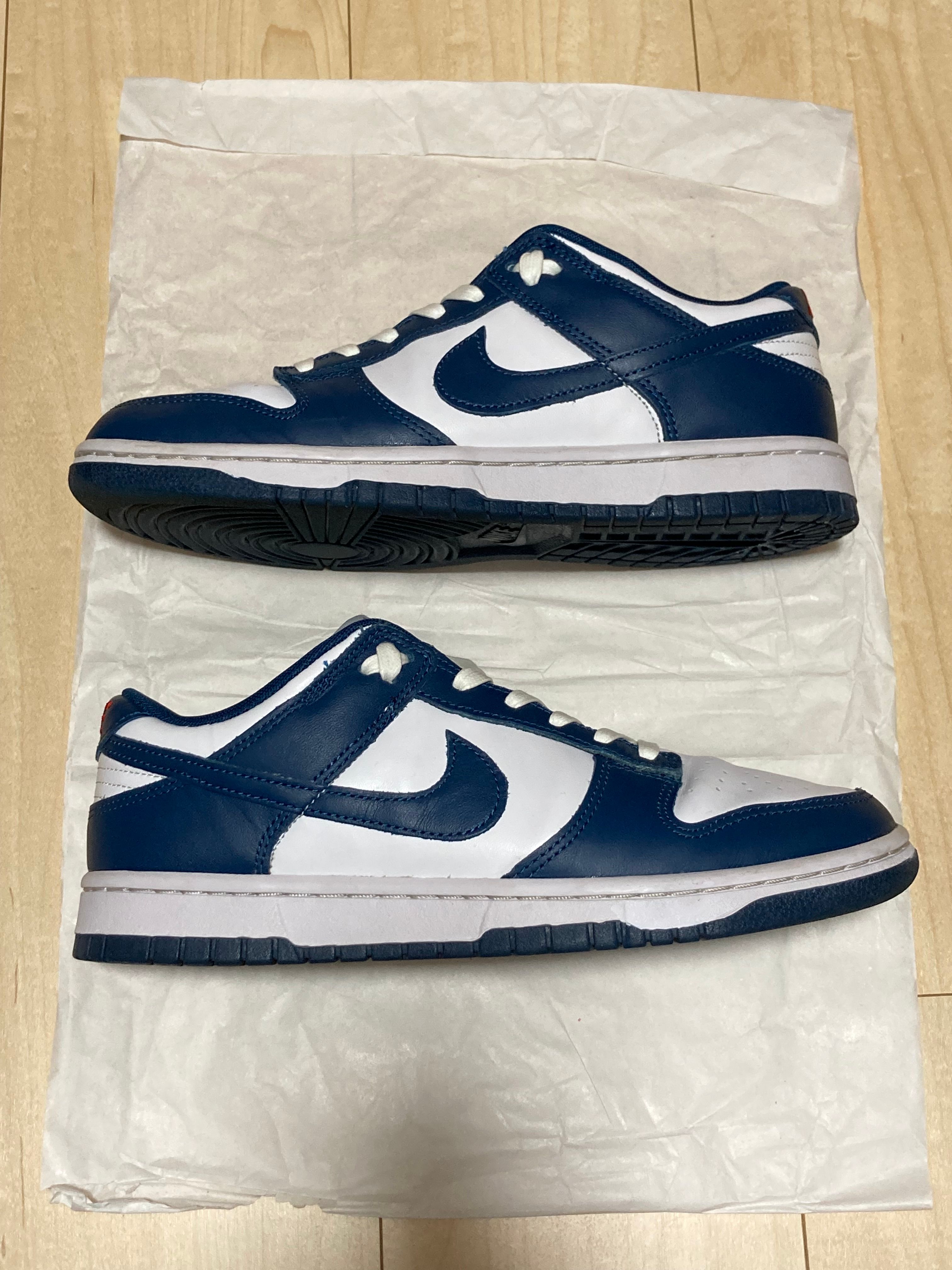 Nike Dunk Low "Valerian Blue"