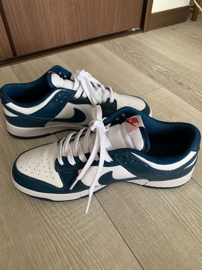 Nike Dunk Low "Valerian Blue"