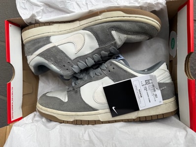 Nike Dunk Low Retro SE "Cool Grey/Photon Dust/White/White"