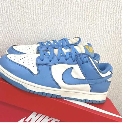 Nike Women's Dunk Low "Coast"