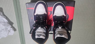 Nike SB × Air Jordan 1 Retro High "La To Chicago"