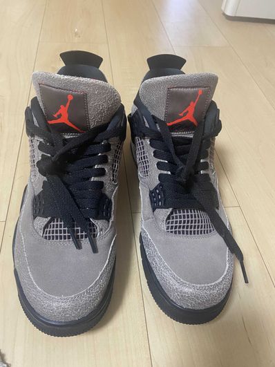 Nike Air Jordan 4 "Taupe Haze"