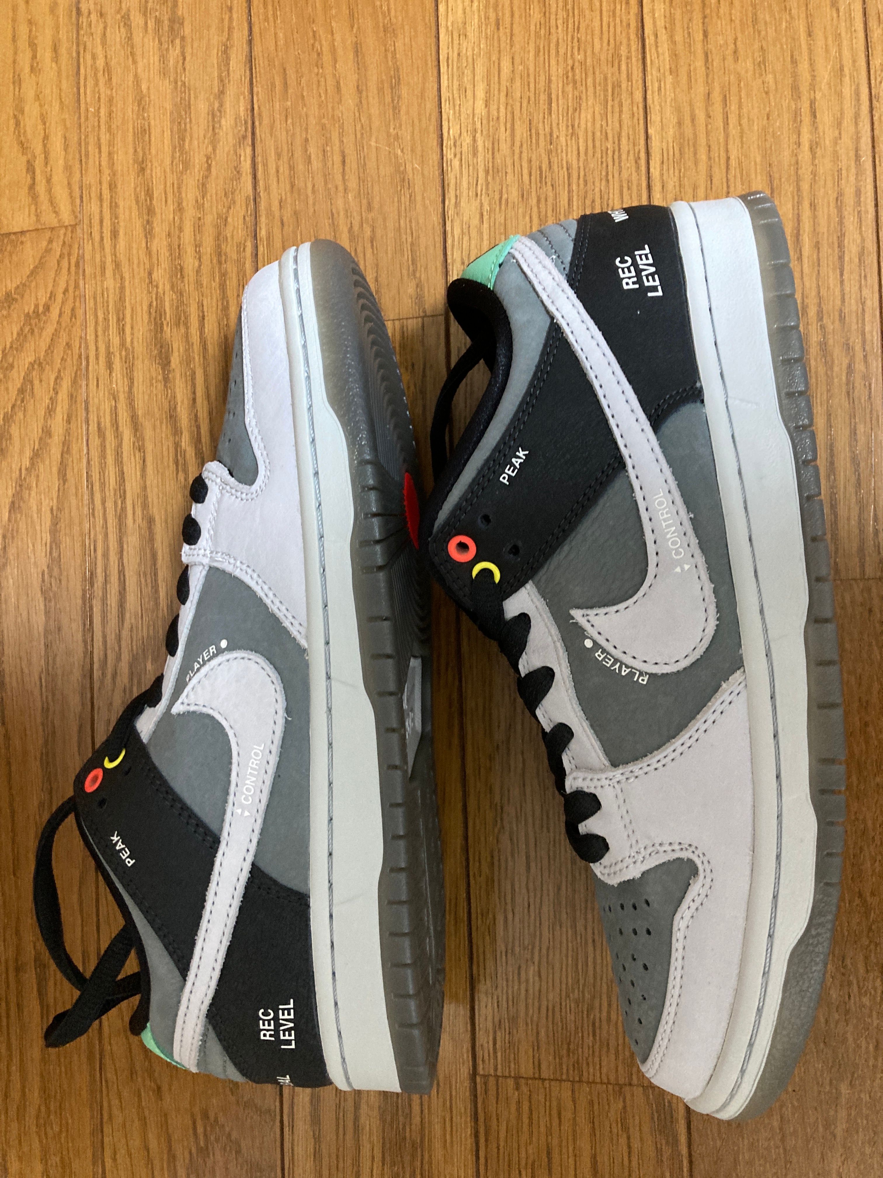 Nike SB Dunk Low Pro "VX1000 Camcorder"