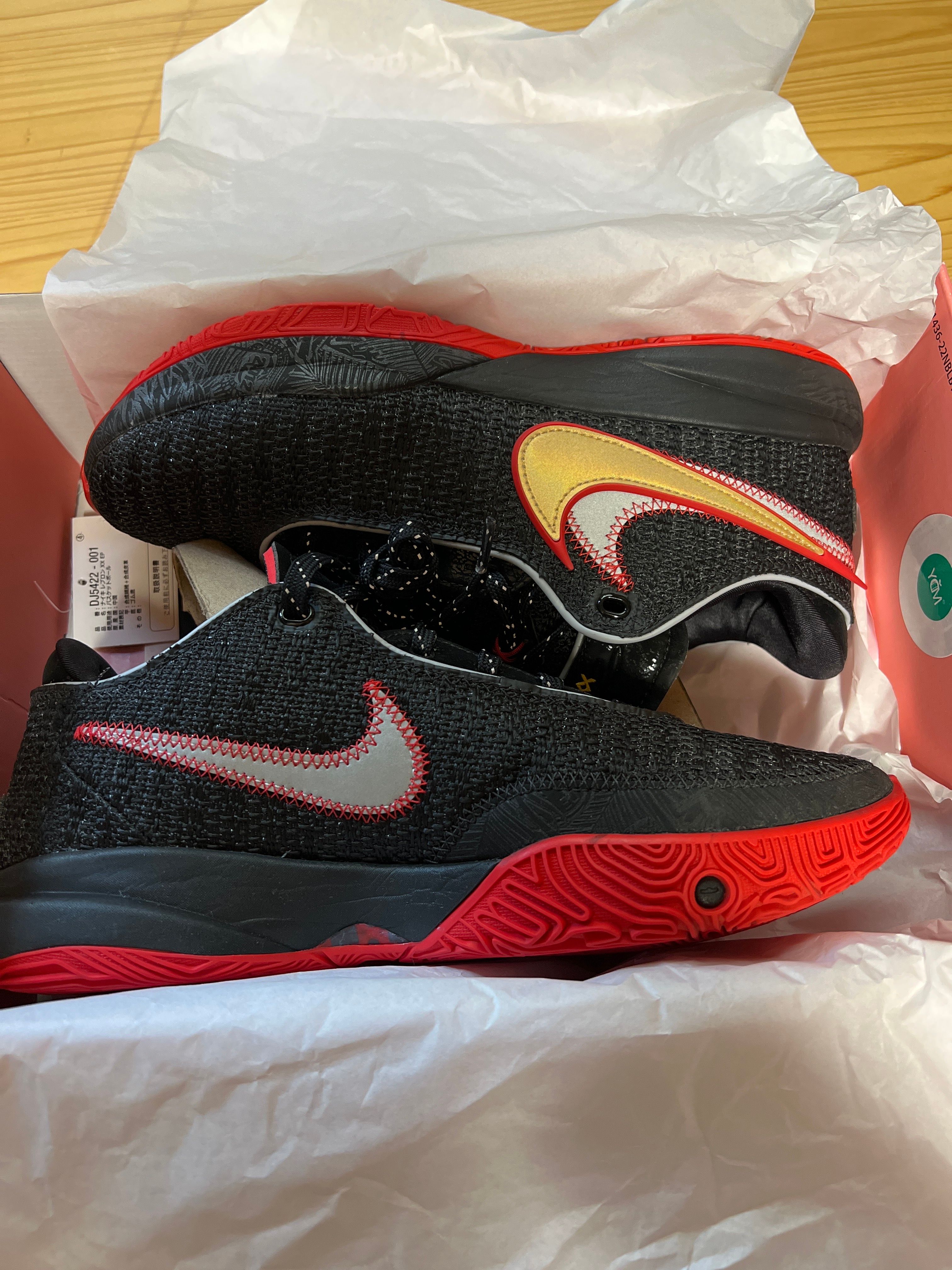 Nike LeBron 20 "Black/University Red"