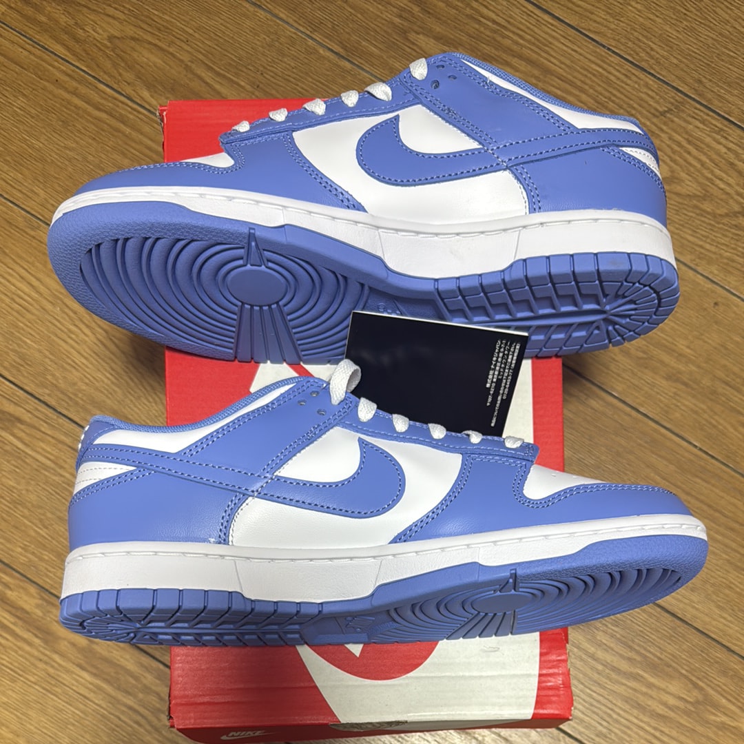 Nike Dunk Low Retro BTTYS "Polar Blue"