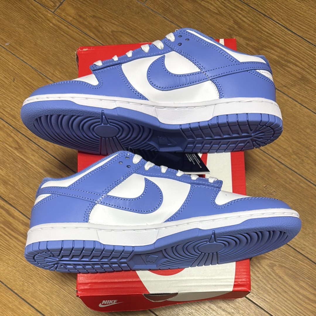 Nike Dunk Low Retro BTTYS "Polar Blue"