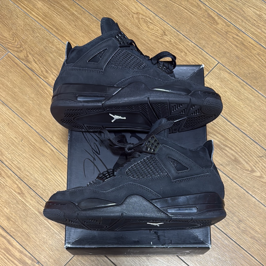 Nike Air Jordan 4 "Black Cat"