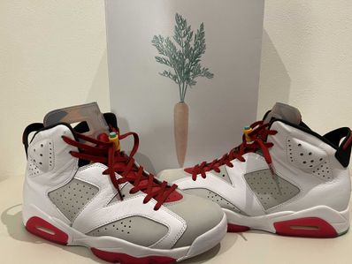 Nike Air Jordan 6 "Neutral Grey/Hare"