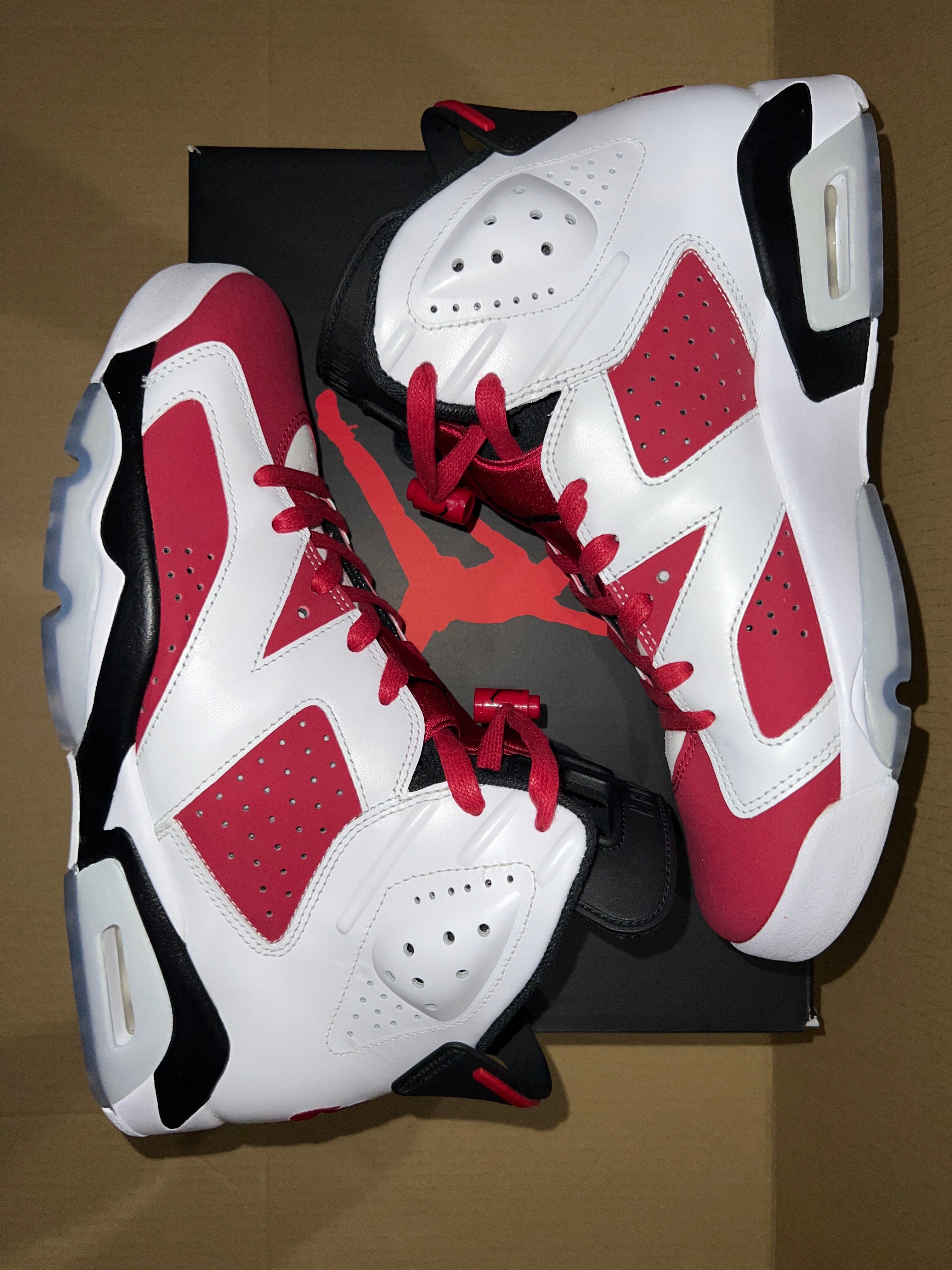 Nike Air Jordan 6 "Carmine" (2021)