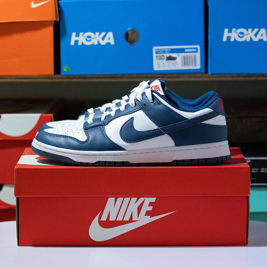 Nike Dunk Low "Valerian Blue"