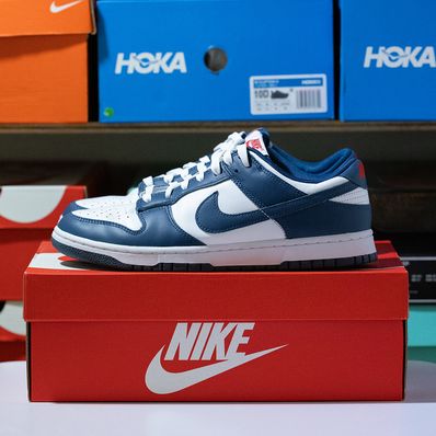 Nike Dunk Low "Valerian Blue"