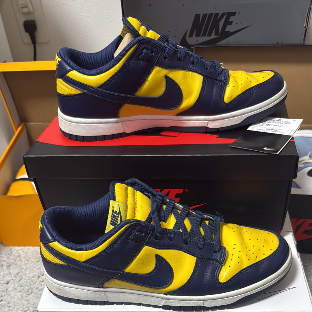 Nike Dunk Low "Michigan"