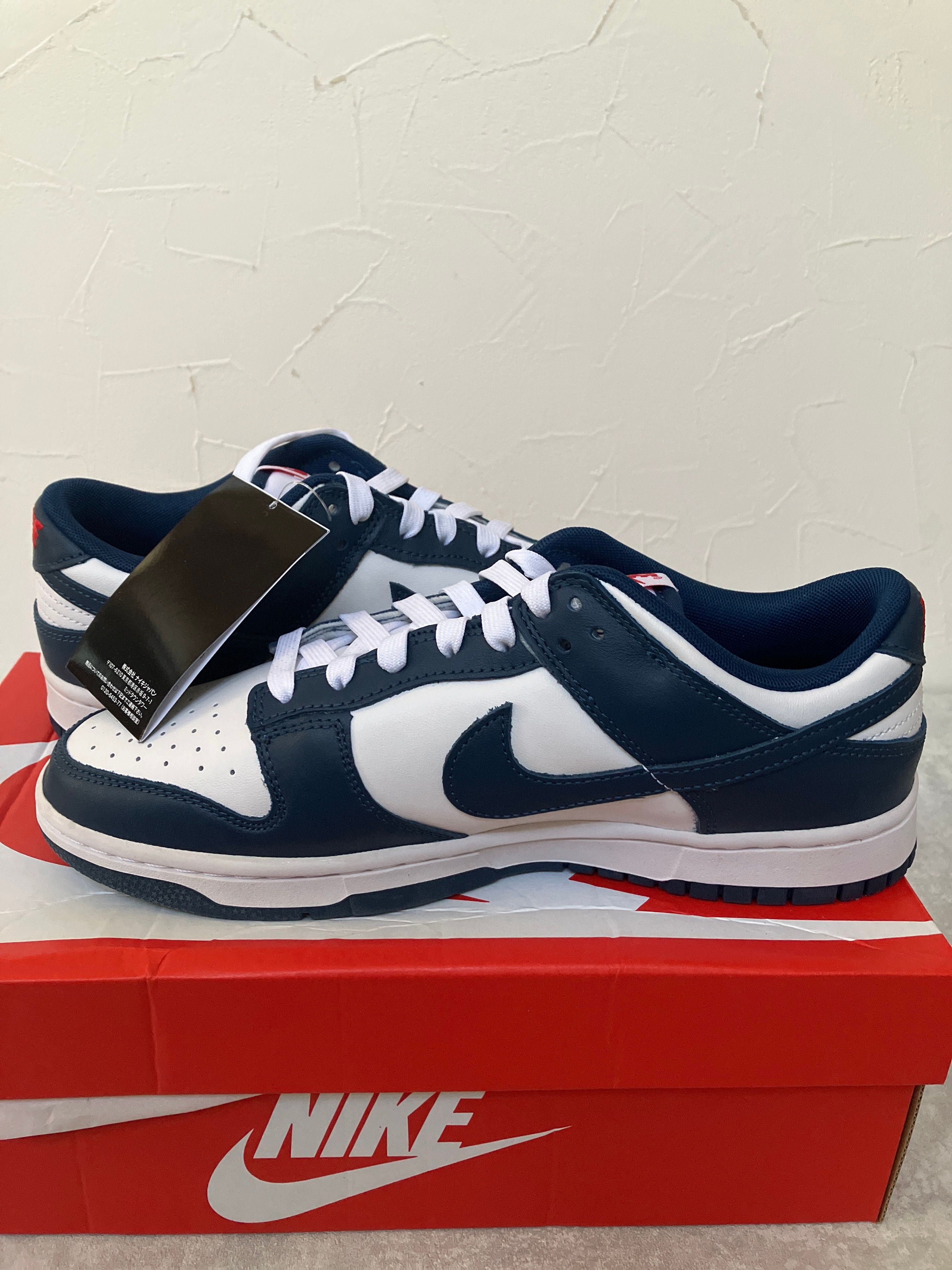 Nike Dunk Low "Valerian Blue"