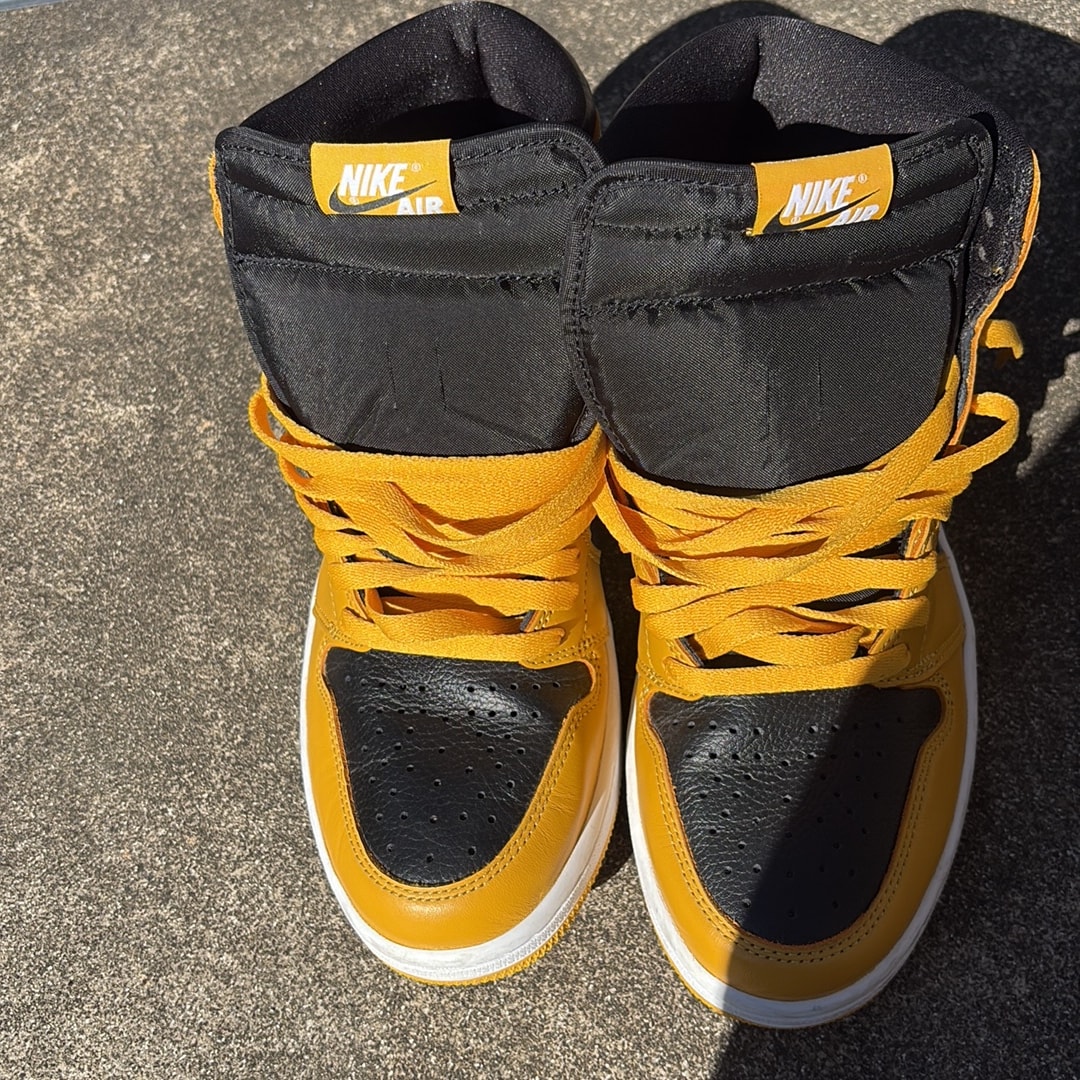 Nike Air Jordan 1 High OG "Pollen"