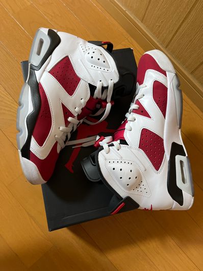 Nike Air Jordan 6 "Carmine" (2021)