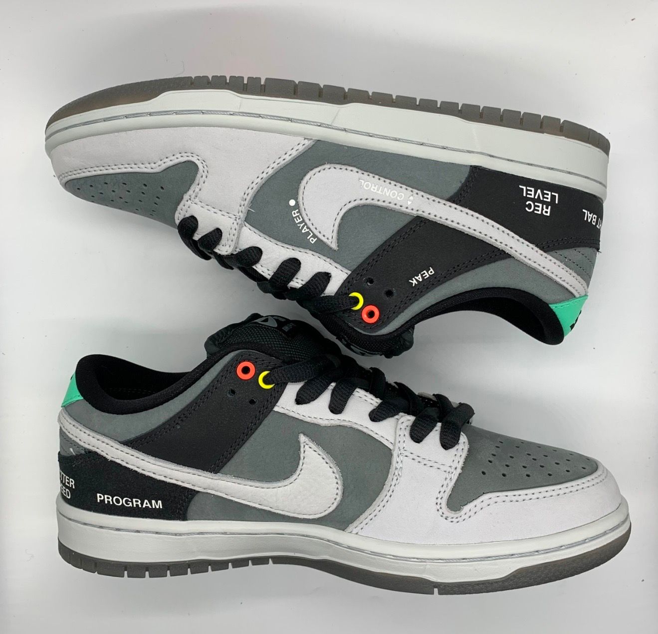 Nike SB Dunk Low Pro "VX1000 Camcorder"