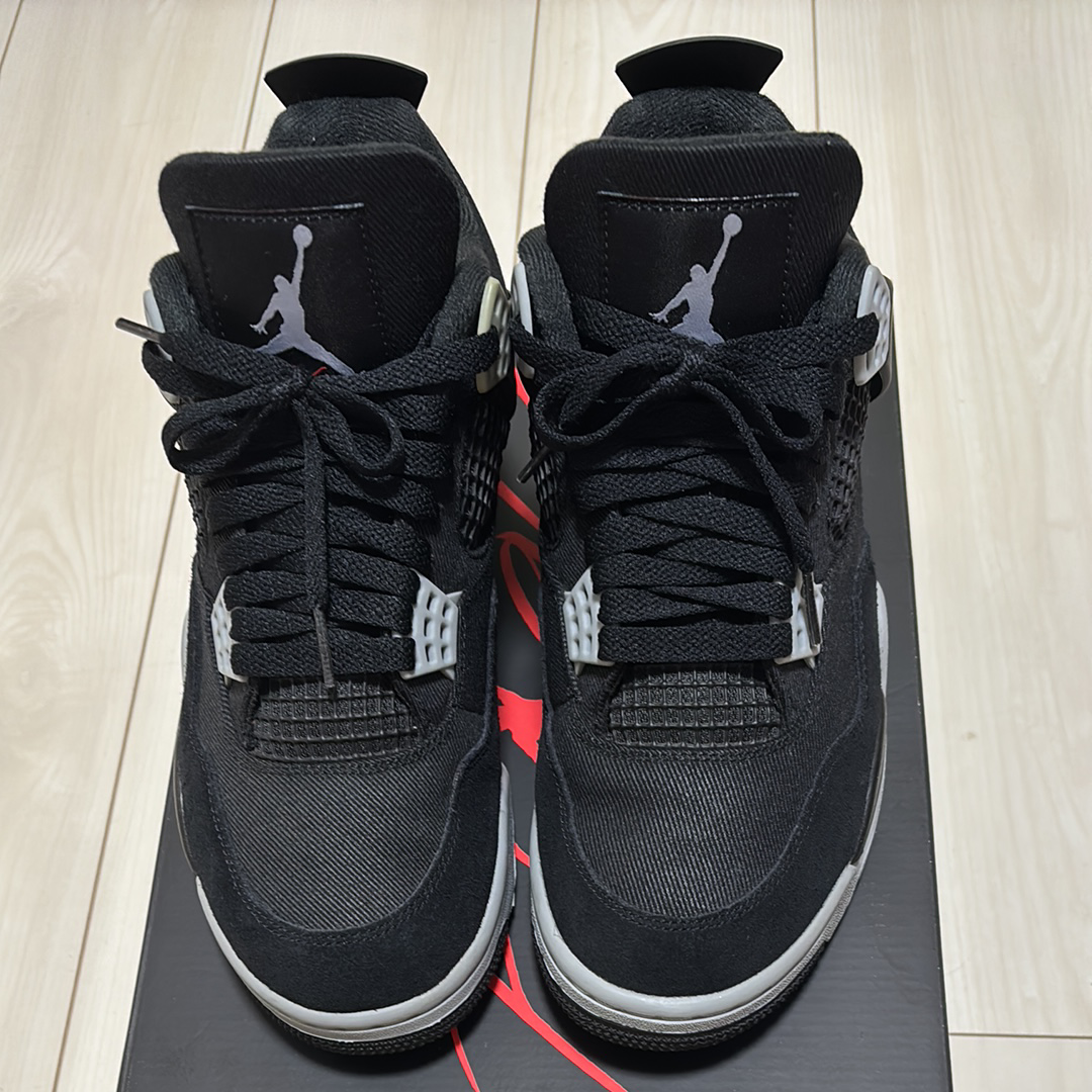 Nike Air Jordan 4 SE "Black and Light Steel"