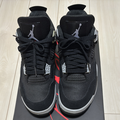 Nike Air Jordan 4 SE "Black and Light Steel"