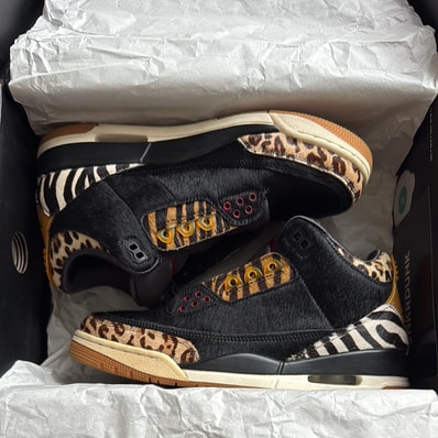 Nike Air Jordan 3 Retro SE "Animal Instinct/Safari"