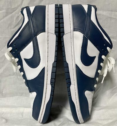 Nike Dunk Low "Valerian Blue"