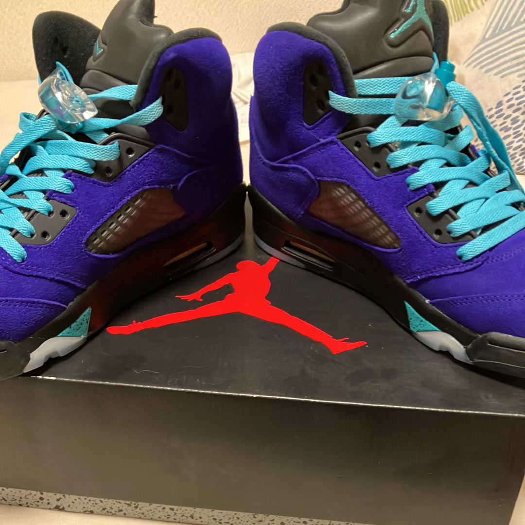 NIKE AIR JORDAN 5 "PURPLE GRAPE"