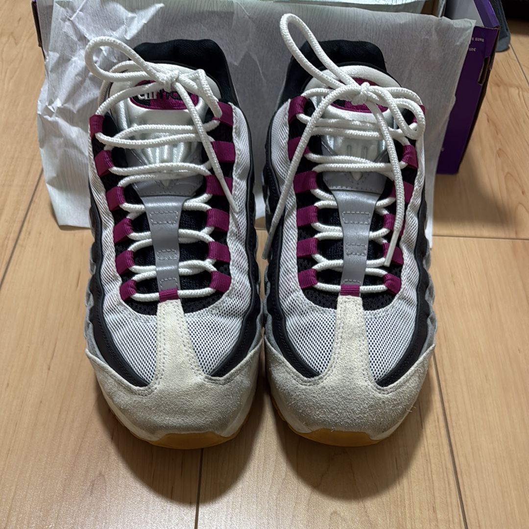 ナイキ SB エアマックス95 "サミットホワイト/カクタスフラワー"