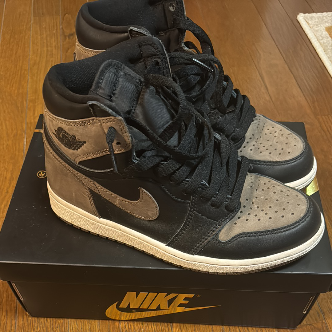 Nike Air Jordan 1 Retro High OG "Palomino"