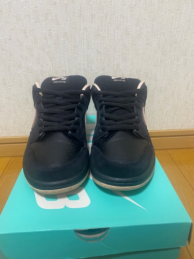 Nike SB Dunk Low PRO "Black/Washed Coral"