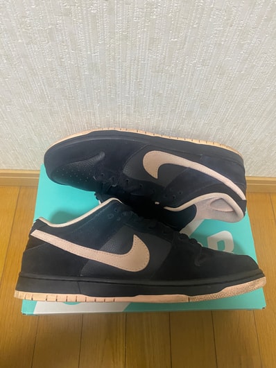 Nike SB Dunk Low PRO "Black/Washed Coral"