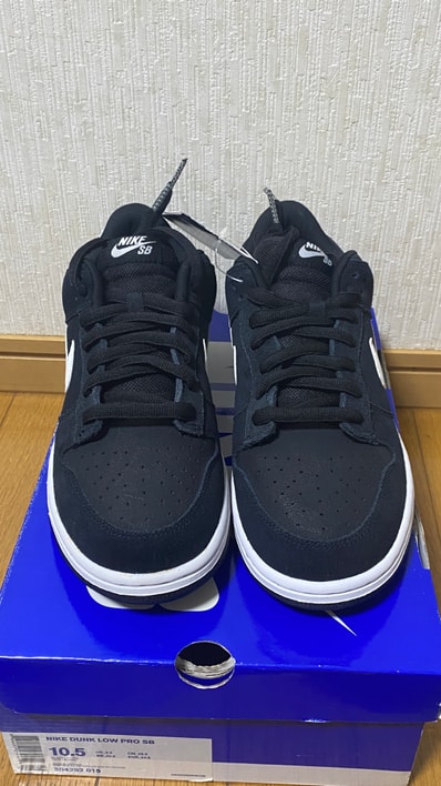 Nike SB Dunk Low Pro "Black/White"