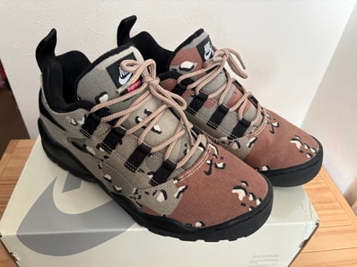 Supreme × Nike SB Darwin Low "Desert Camo"