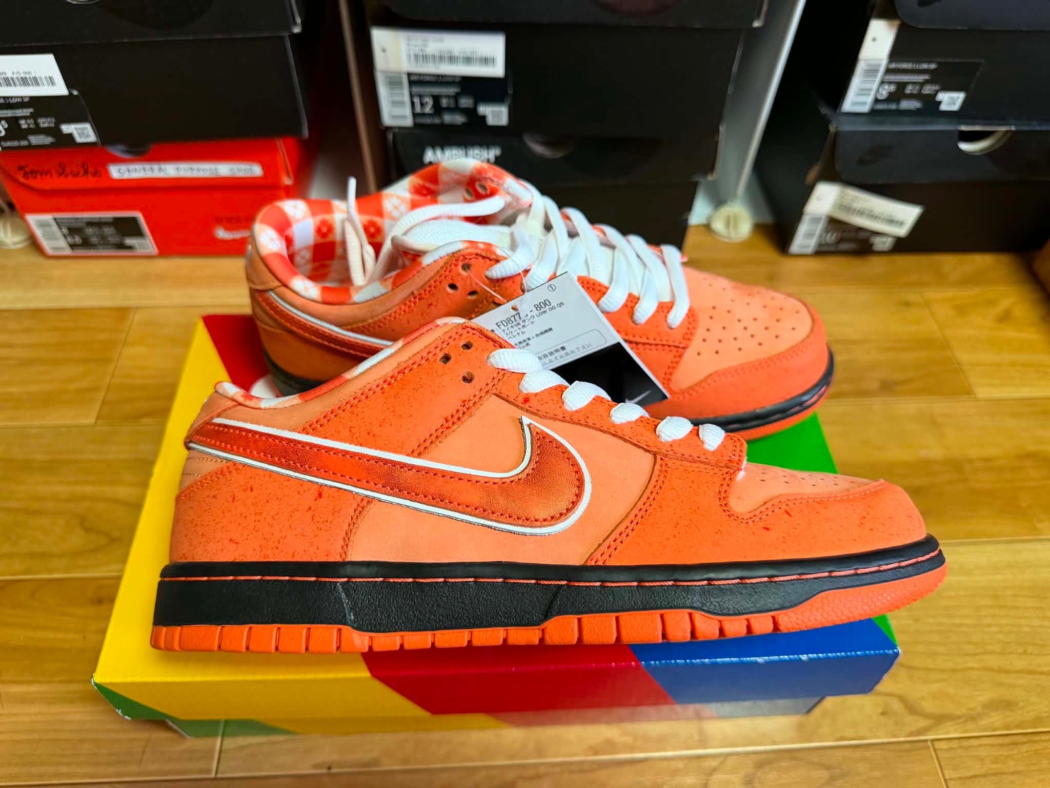Concepts × Nike SB Dunk Low SP 