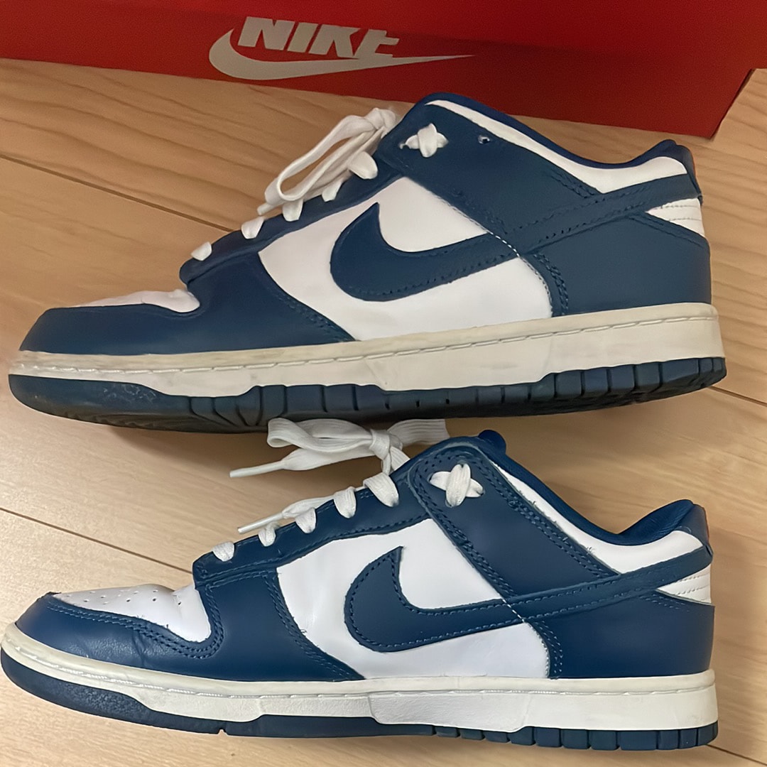 Nike Dunk Low "Valerian Blue"