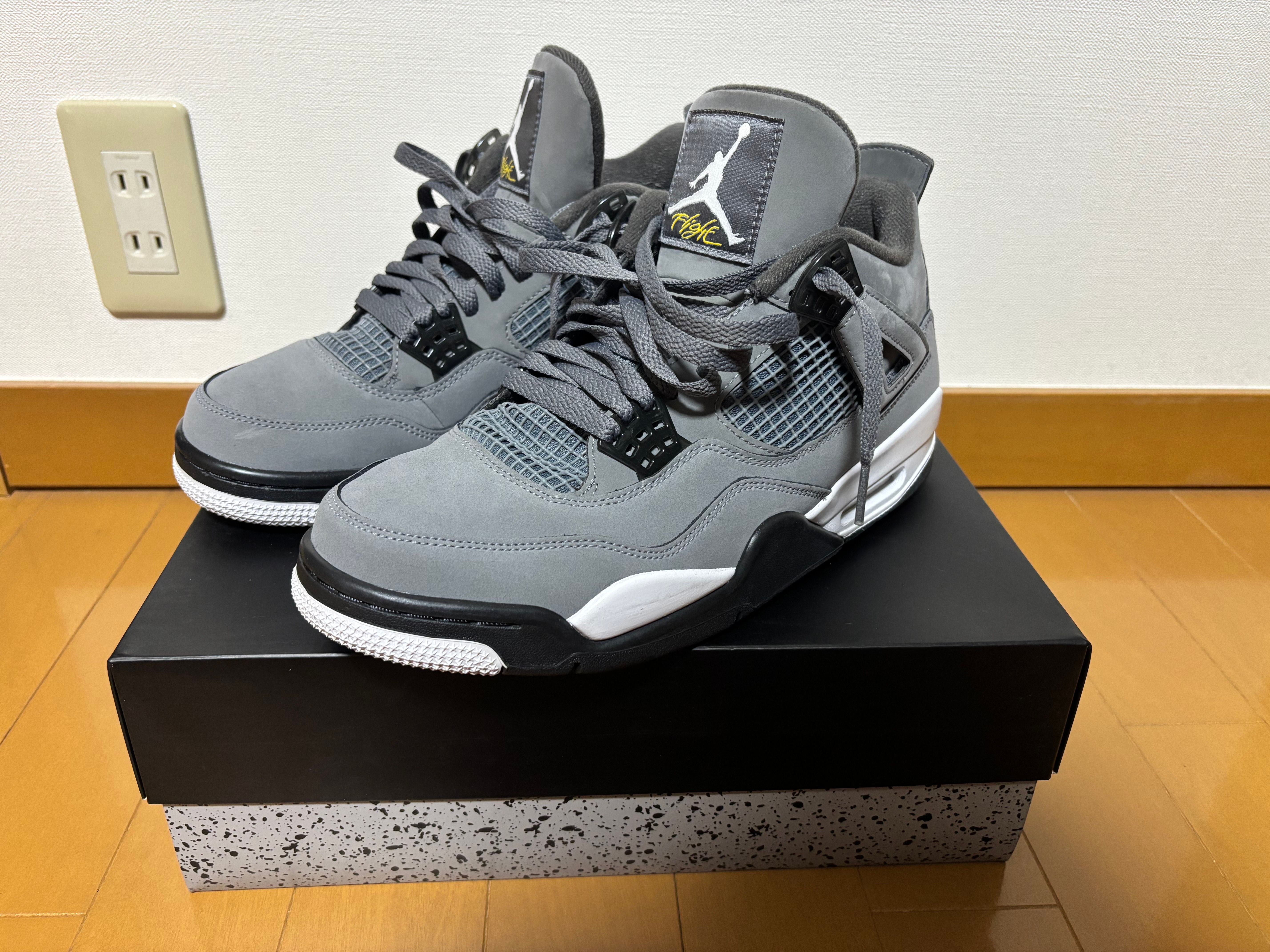 Nike Air Jordan 4 "Cool Grey"