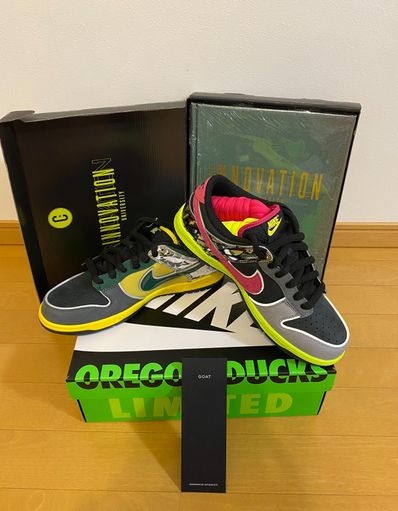 Nike Dunk Low "What The Ducks Home"
