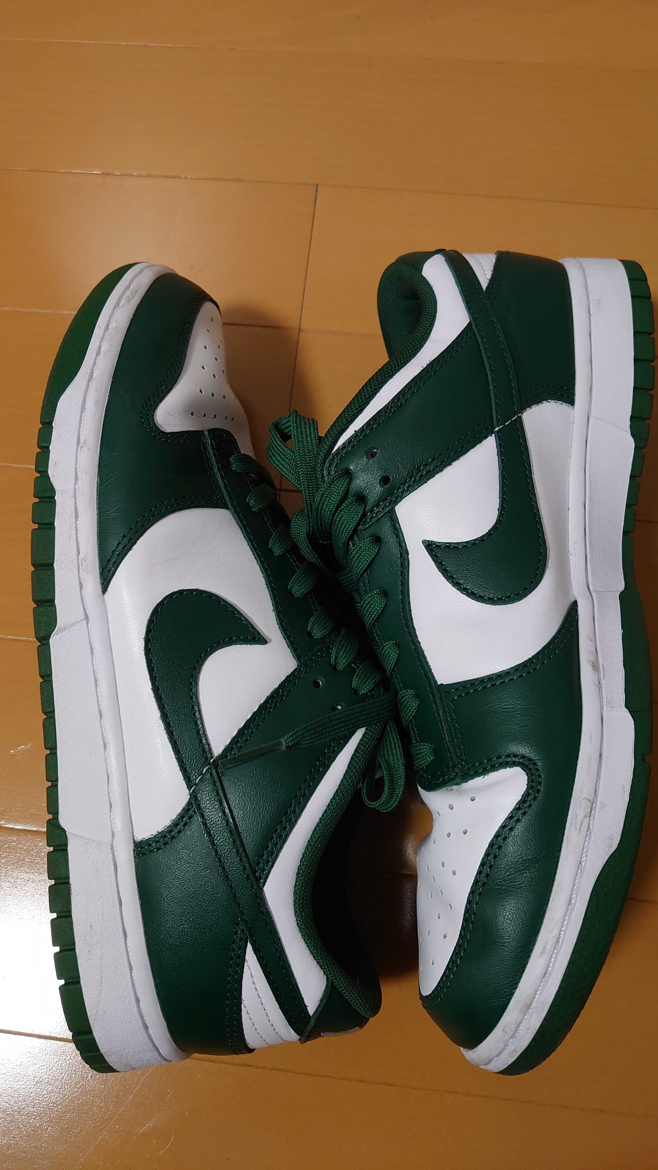 Nike Dunk Low Retro "Varsity Green/Team Green"