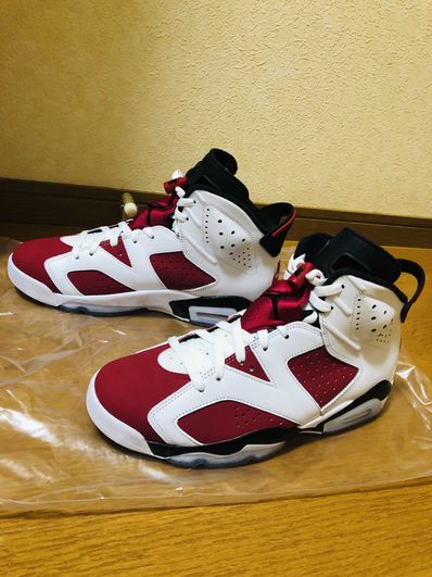 Nike Air Jordan 6 "Carmine" (2021)