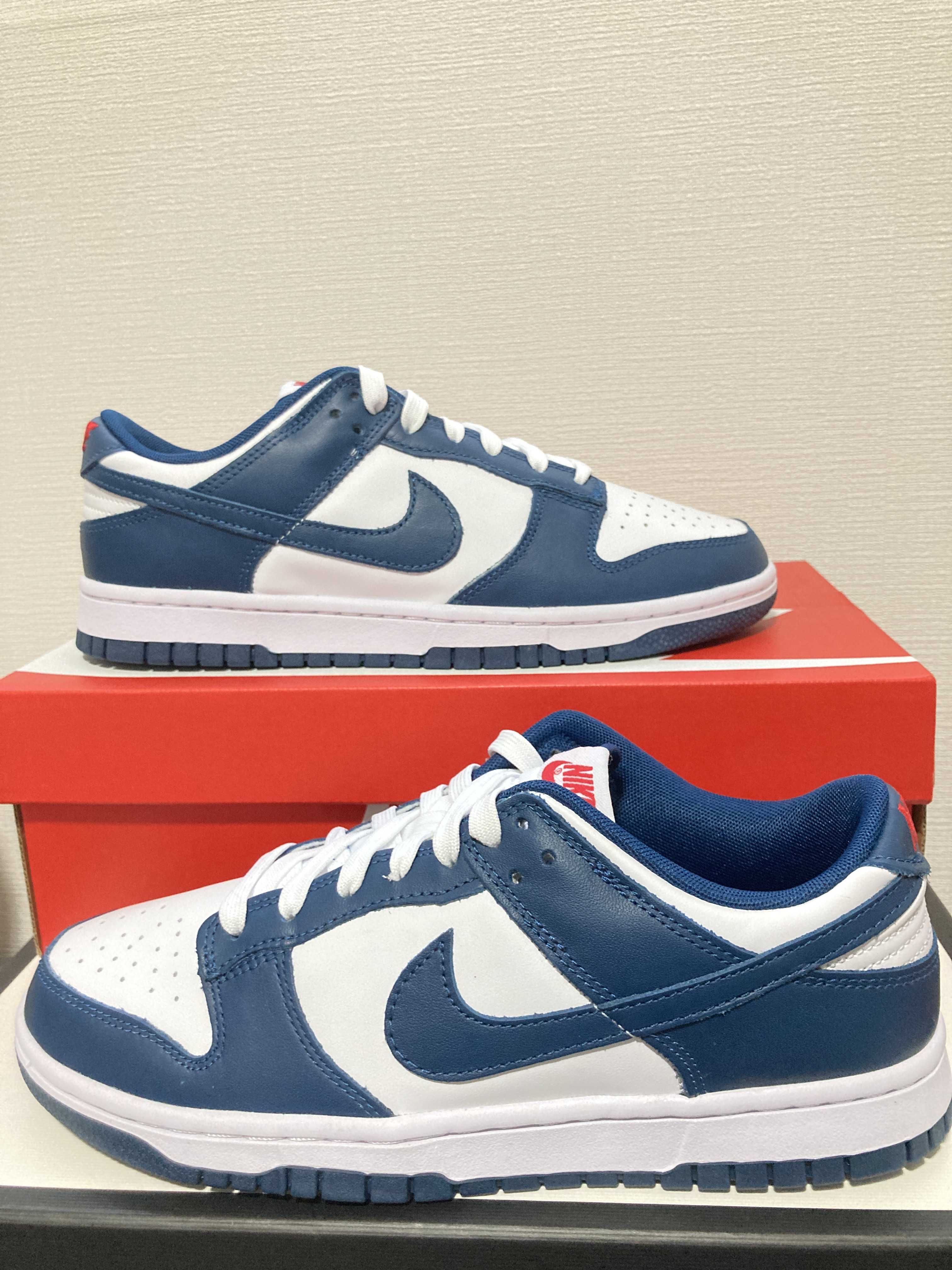 Nike Dunk Low "Valerian Blue"