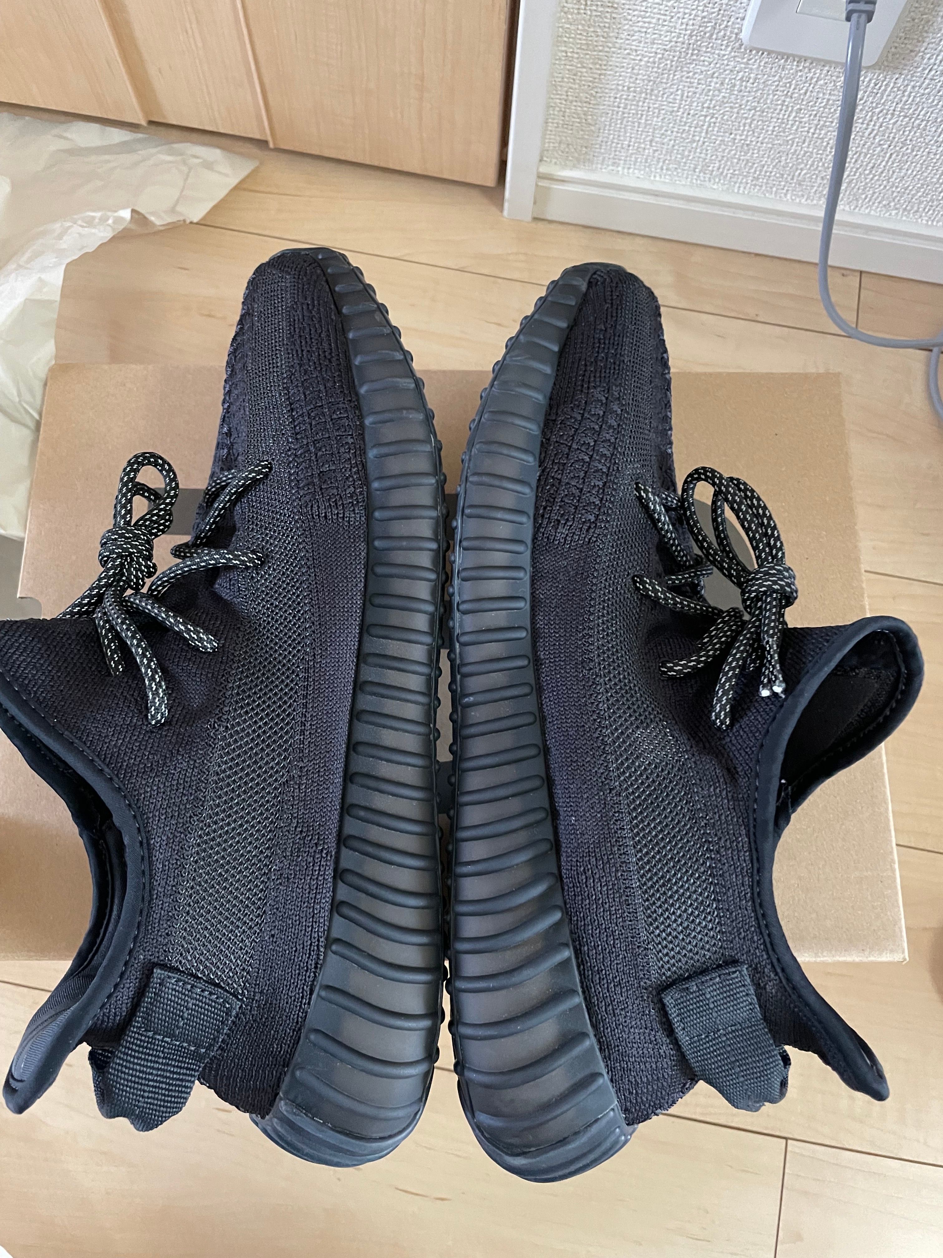 adidas YEEZY Boost 350V2 "Onyx"