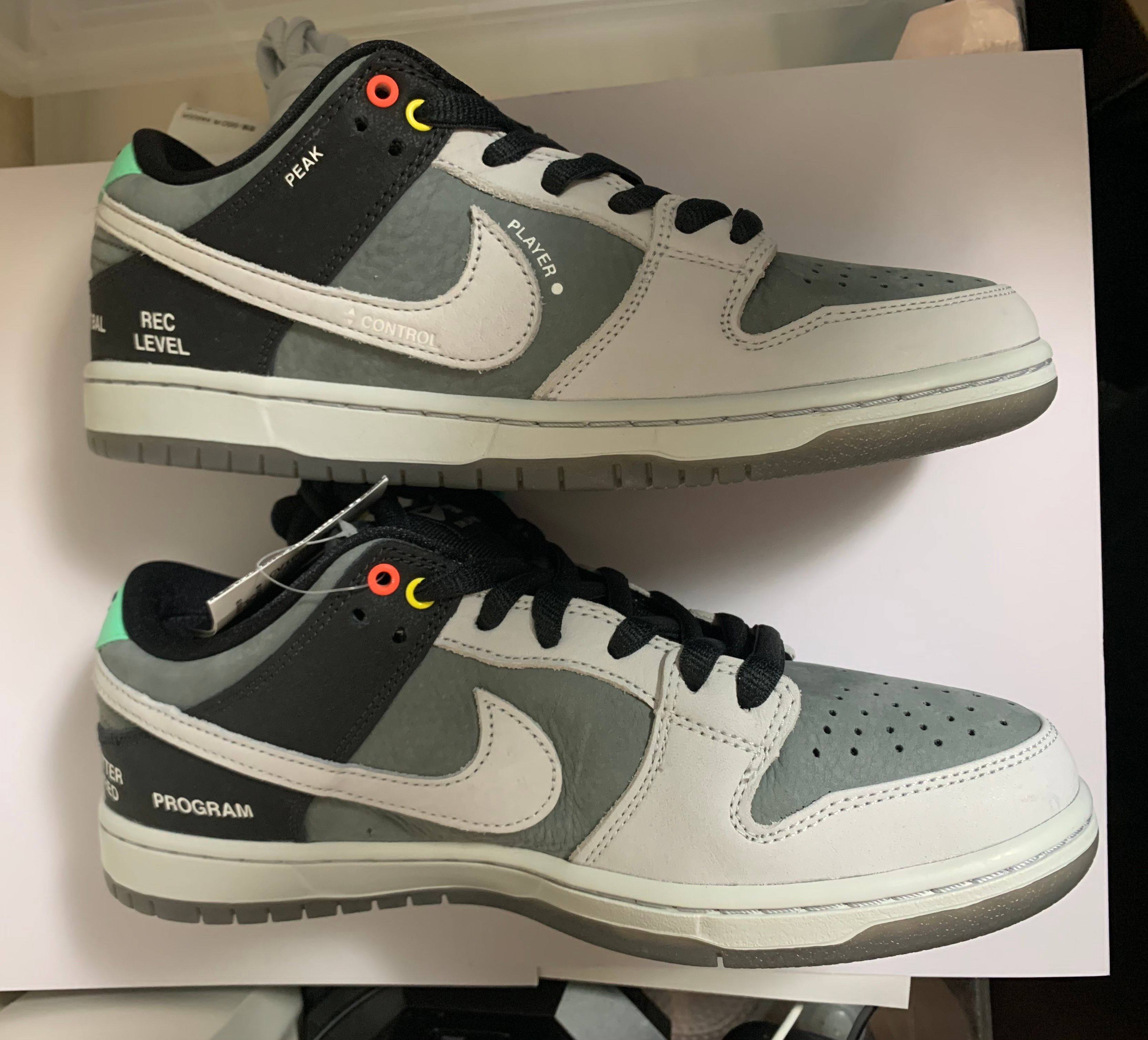 Nike SB Dunk Low Pro "VX1000 Camcorder"