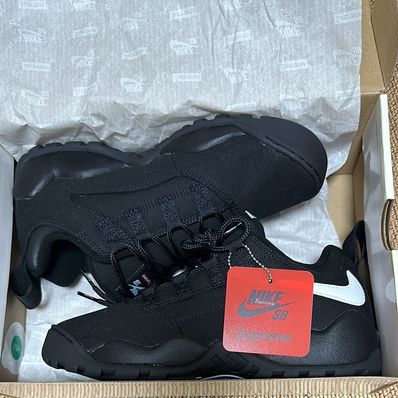Supreme × Nike SB Darwin Low "Black"