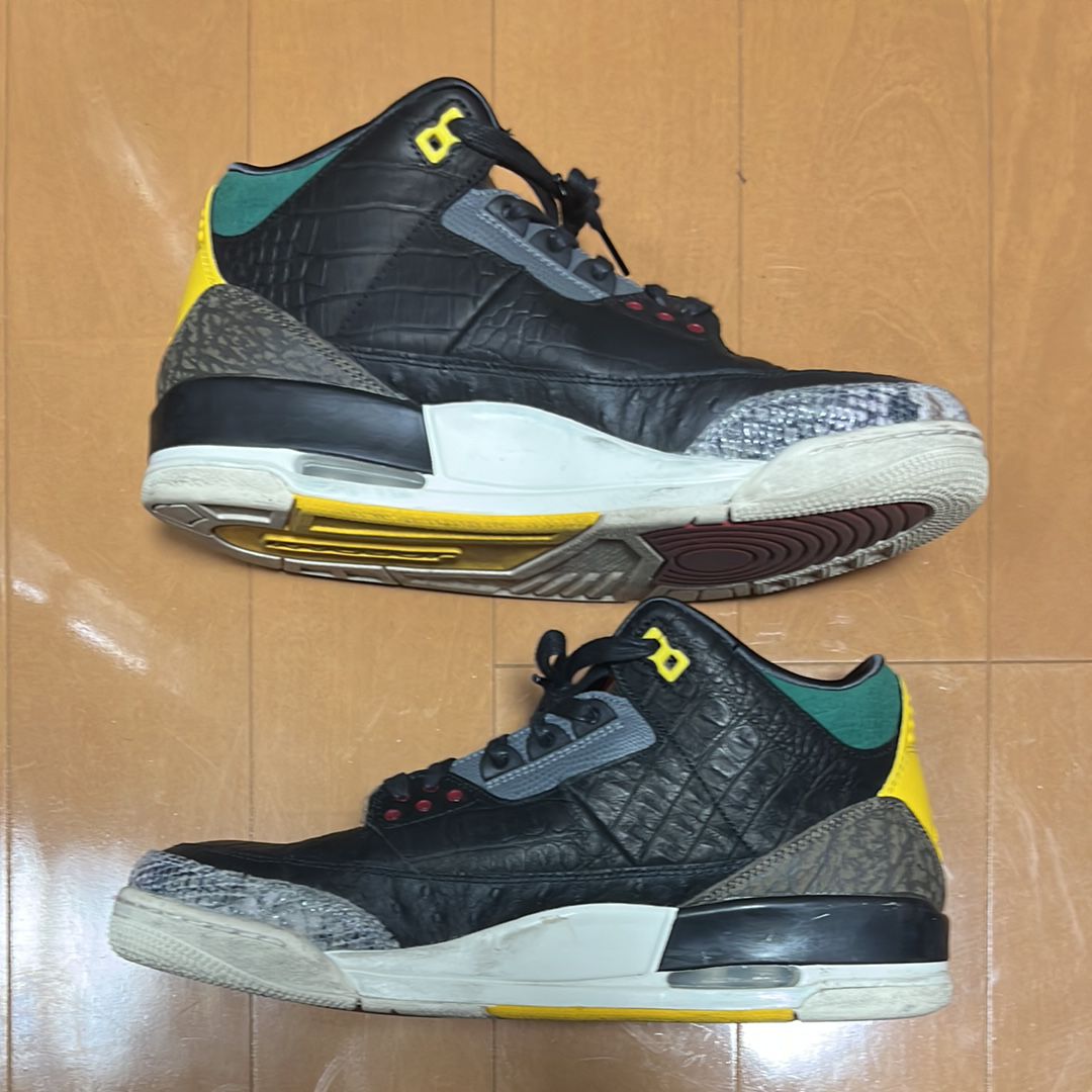 Nike Air Jordan 3 Retro SE "Animal Instinct 2.0/Safari"