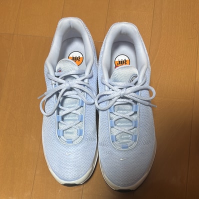 Nike Women's Air Max DN "Half Blue"